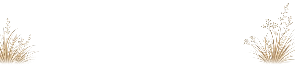 bottom-plant