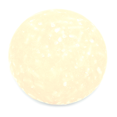 Rice Water Argan Shampoo Bar